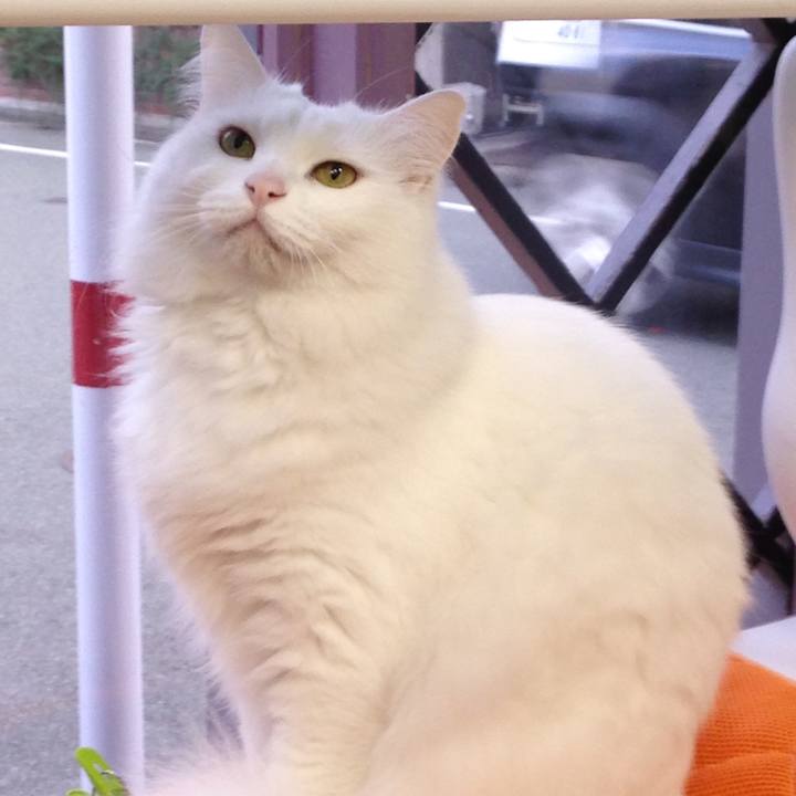 B4a2892a e6d7 4b5e 83f8 87008337e1a5