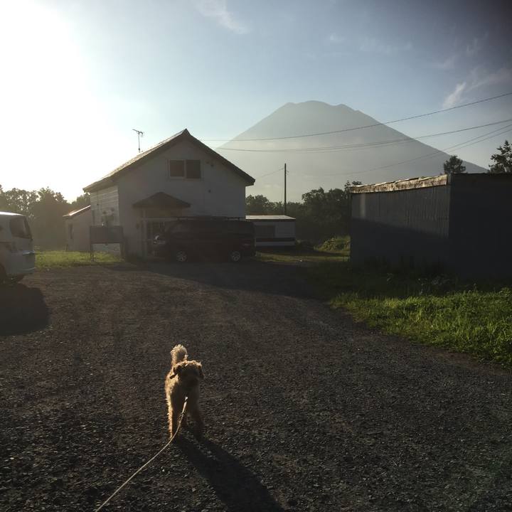 B4a30104 fce0 402b b909 bbacb05b129d