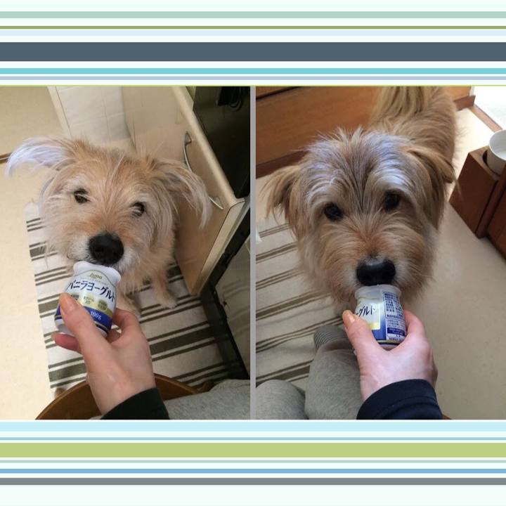 B4a30981 7c47 4dea bf0e c86f8b4d1e3f