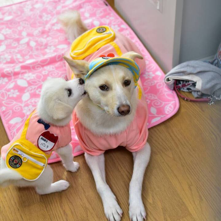 B4a31e3f 0f78 451d 9f00 569cd99cbefc