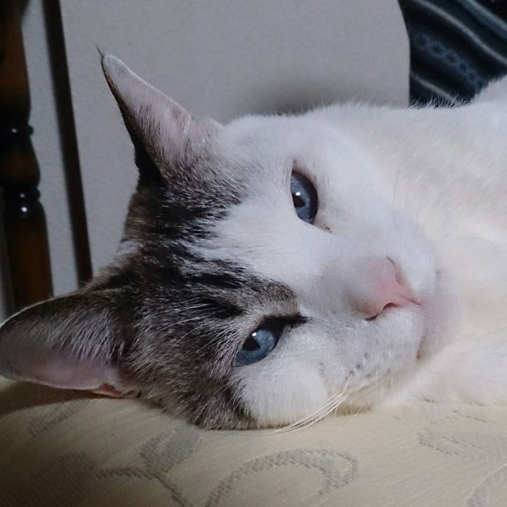 B4a3d038 5eff 4bd3 8ce2 b35121260eec