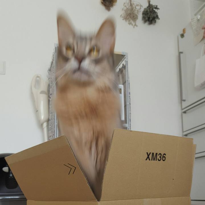 B4a46613 8f0c 45c4 a01d 03429ec99164