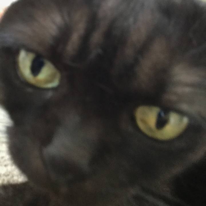 B4a5532c 8646 4443 98f4 619e3f72b974