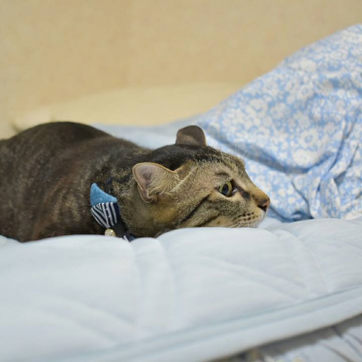 B4a58039 9330 4ab3 ae98 9e238ec7b2a1