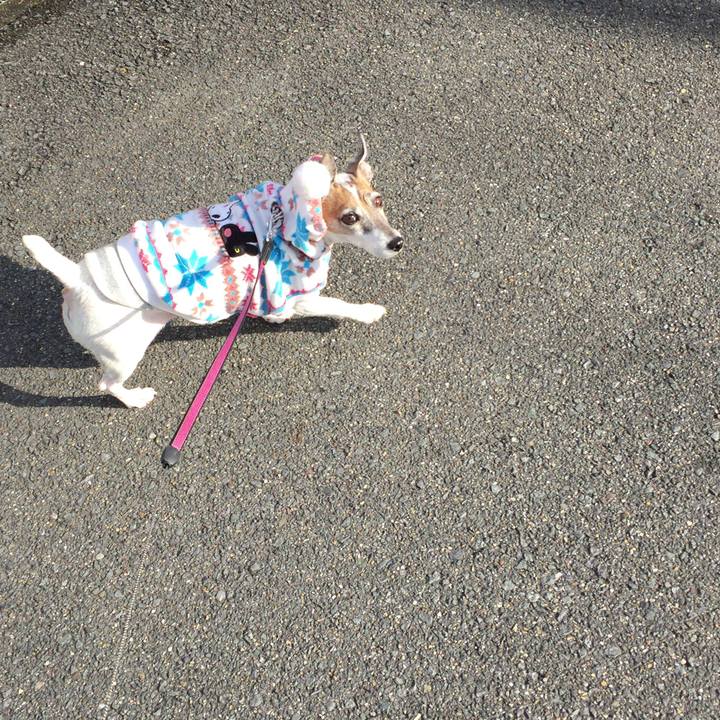 B4a5c507 12aa 4f5f a3f2 36e61b34d3b9