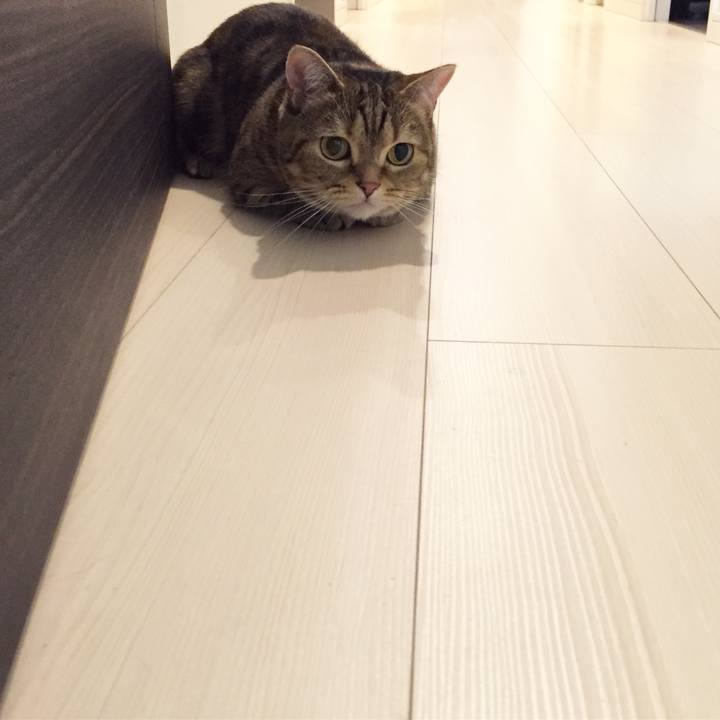 B4a61ccb c316 43f7 b54f e2838de90626