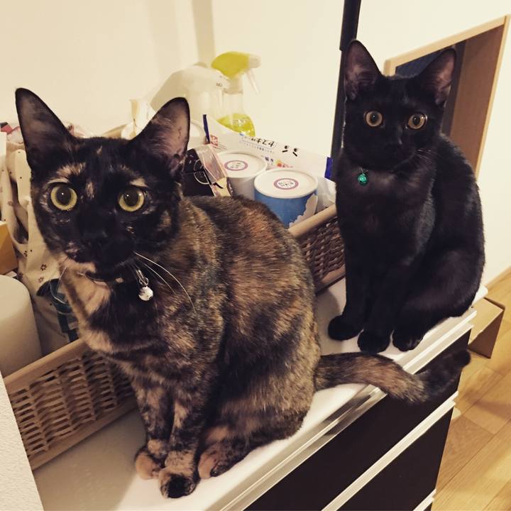 B4a69591 fa12 402b b693 121fb3d0939f