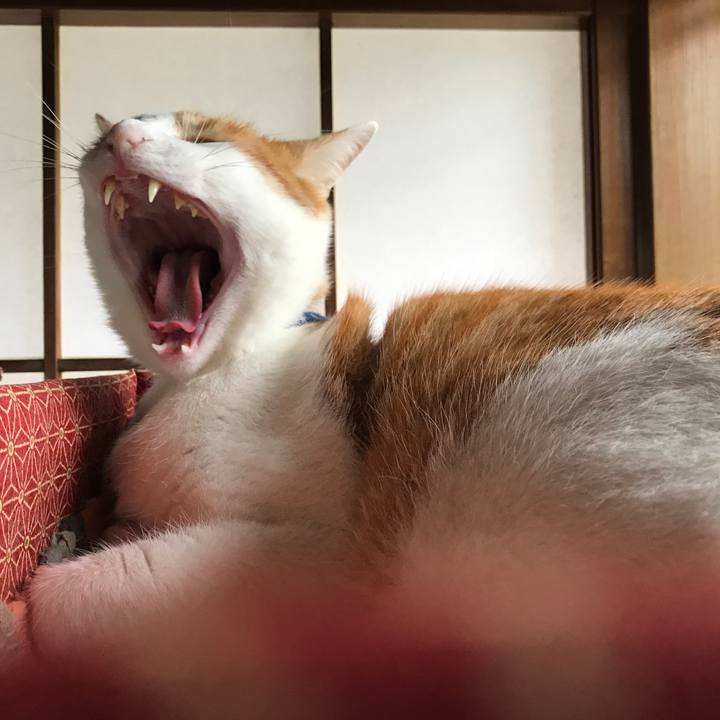 B4a6e059 25e2 46a3 a111 25044c2d7dd4