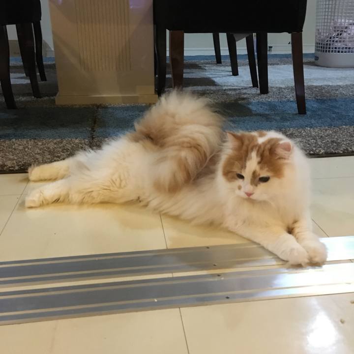 B4a78e49 9454 461b 84d3 841da2bee80f