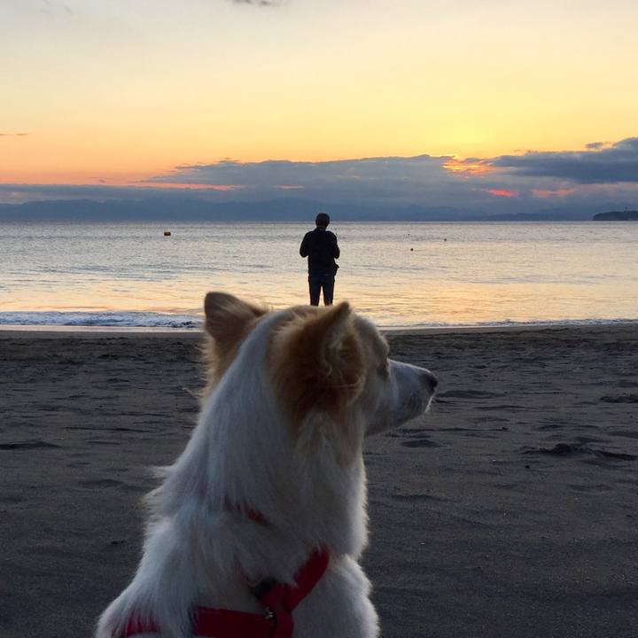 B4a7d462 827f 45c9 b730 6f882231be6d