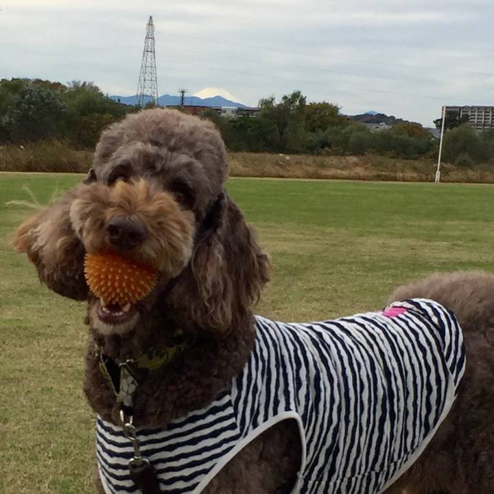 B4a7fc3e 9a1e 429b 8063 6de72cecfc86