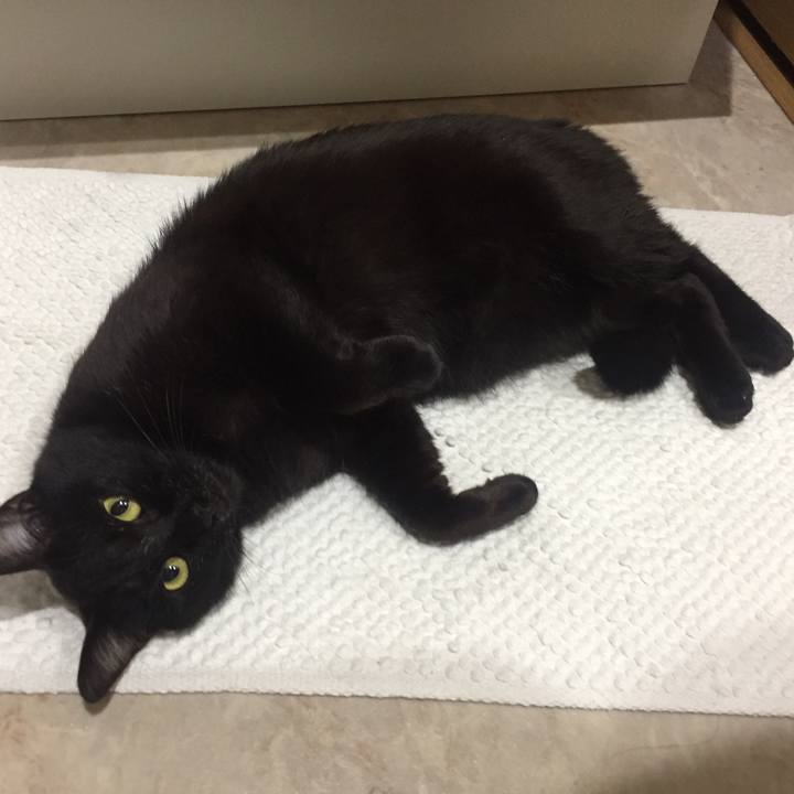 B4a802d6 0fd9 4e92 a82b 73bfa893955e