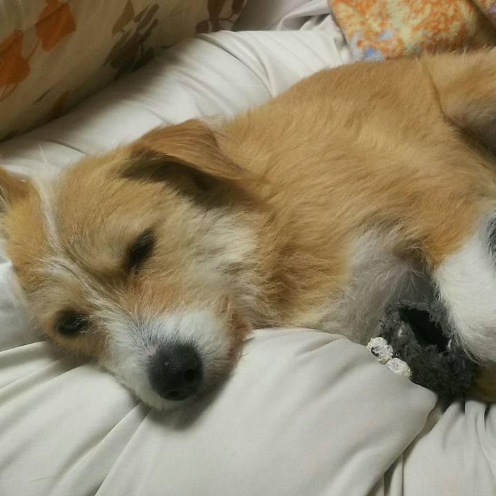 B4a81f40 f2fe 444c 8d36 5b16bfa2b2b9