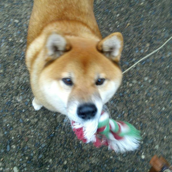 B4a8331f 8975 4ccb aacc f819b92eeffc