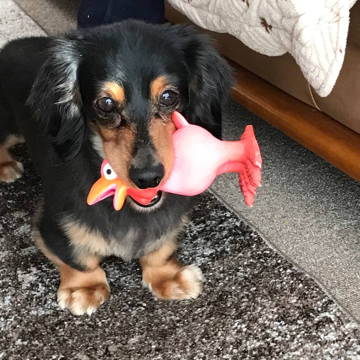 B4a8833a 540a 4fa2 af5e 4a15efcfd15c