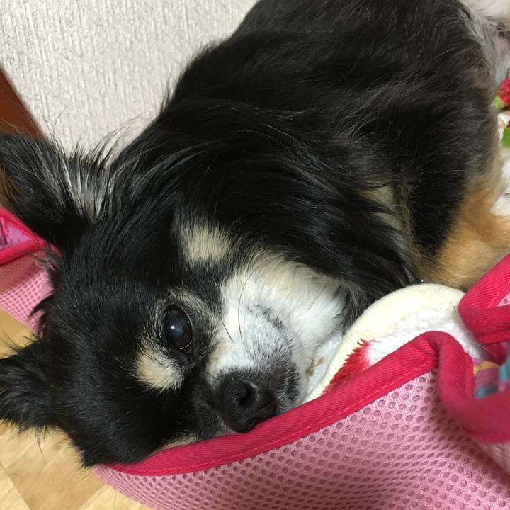 B4a8a63c f733 4265 83c3 79b2b4dd6843