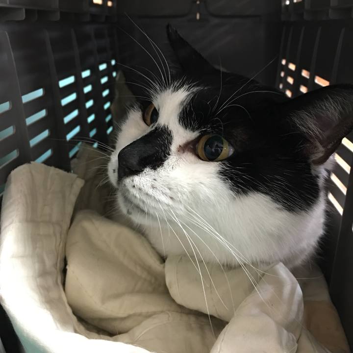 B4a9a493 db6e 4163 b947 9ea3078f8021