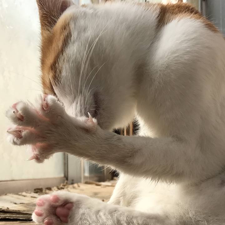 B4a9bb8f 3598 45a7 a1cb 75198762599c