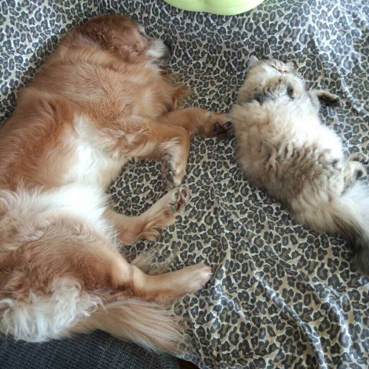 B4a9f247 7f19 4e12 9c28 0a0211731abb