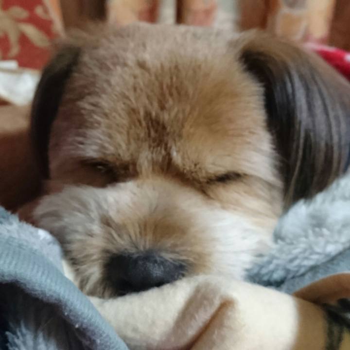 B4a9fc10 1511 445d 9c84 2b6170378975