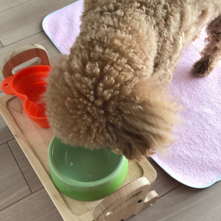 B4aa1f15 da97 4141 a557 8a012ee9bf3a