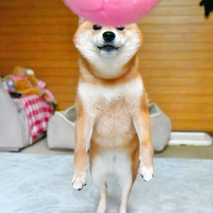 B4aa62c7 03ca 43b7 9c74 ac54cd6ff4d2