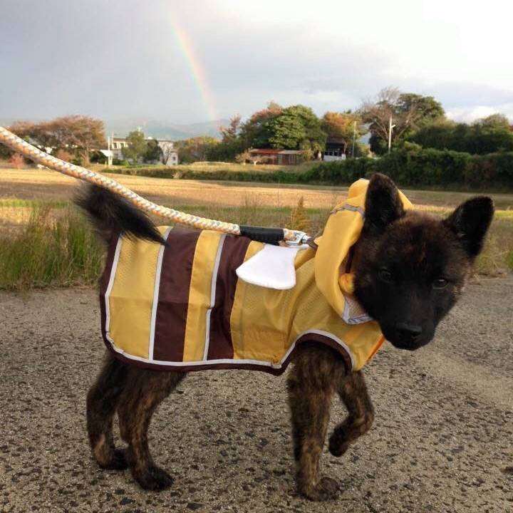 B4aa901d acae 439c bd93 a1e3823e9ff8