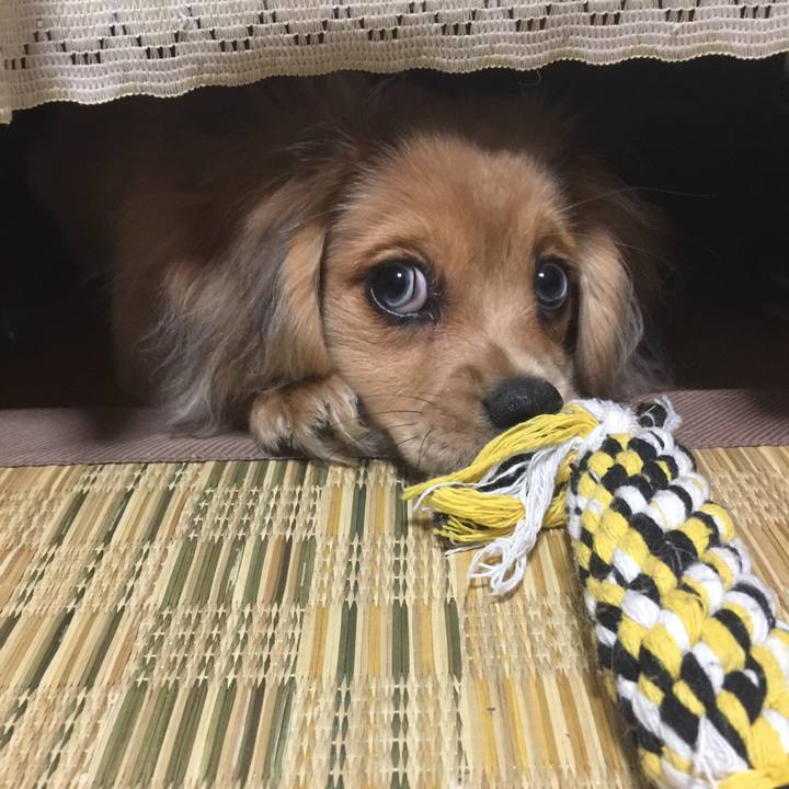 B4ab0d35 b1d7 4ef2 8d29 ac31c3884858