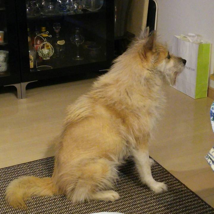 B4ac08aa 5642 4b9b bcf6 54381948614d