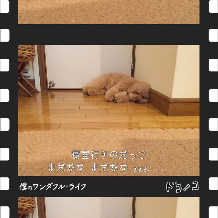 B4ac1329 5283 4a16 9173 5d1def8b076c