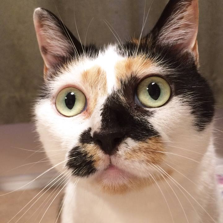 B4ac7e1f 31ba 4066 b1d4 a60659fc1da5