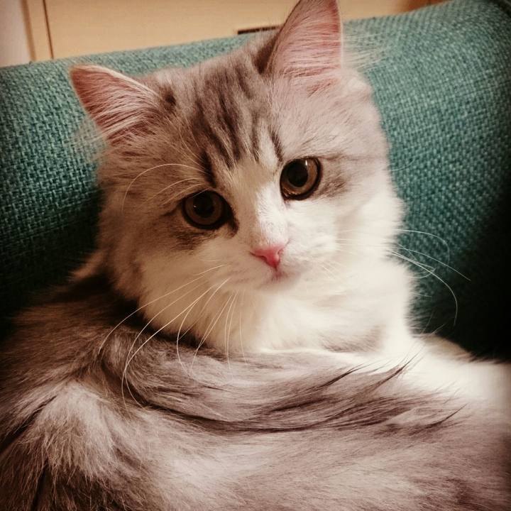 B4acaf63 7647 414e a4dd 5add60dddbec