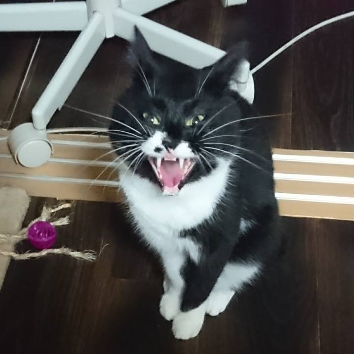 B4ad363f 3185 40dc a339 a70ca8ce8814