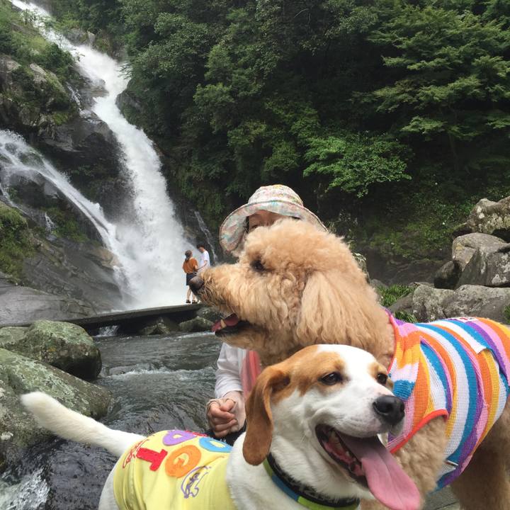 B4add9fc c7e2 4890 99e3 cc1412ac90a4