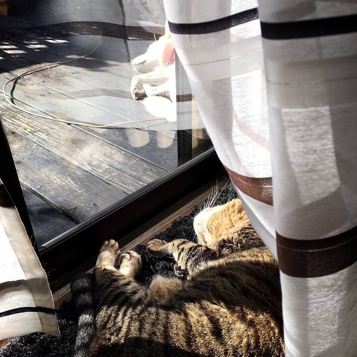 B4ade1a4 c717 495f 9bef c7064cd73923