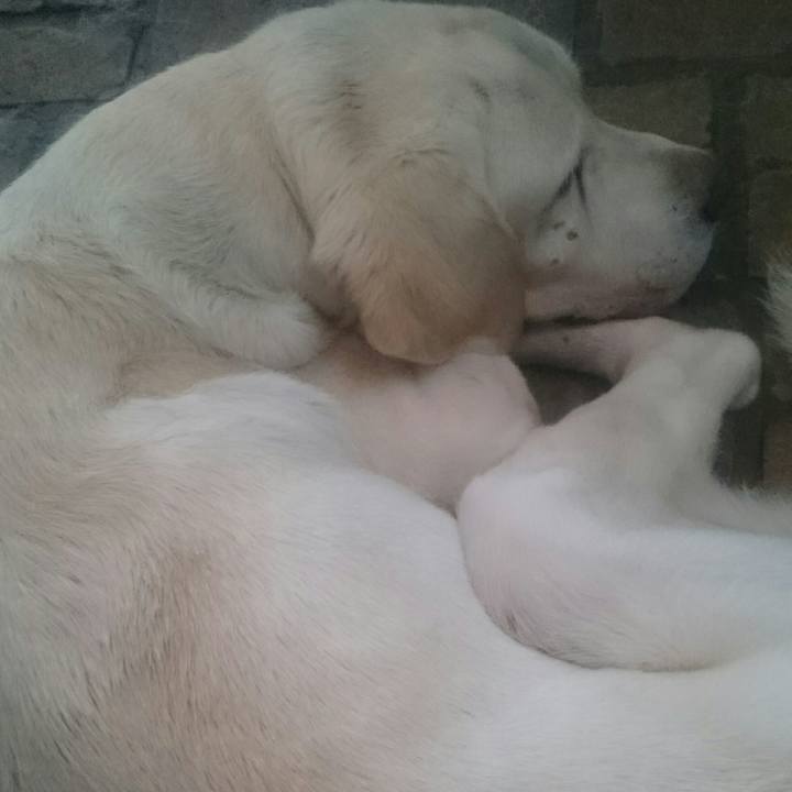 B4ae0a78 47c1 4cc5 8717 a96558261675