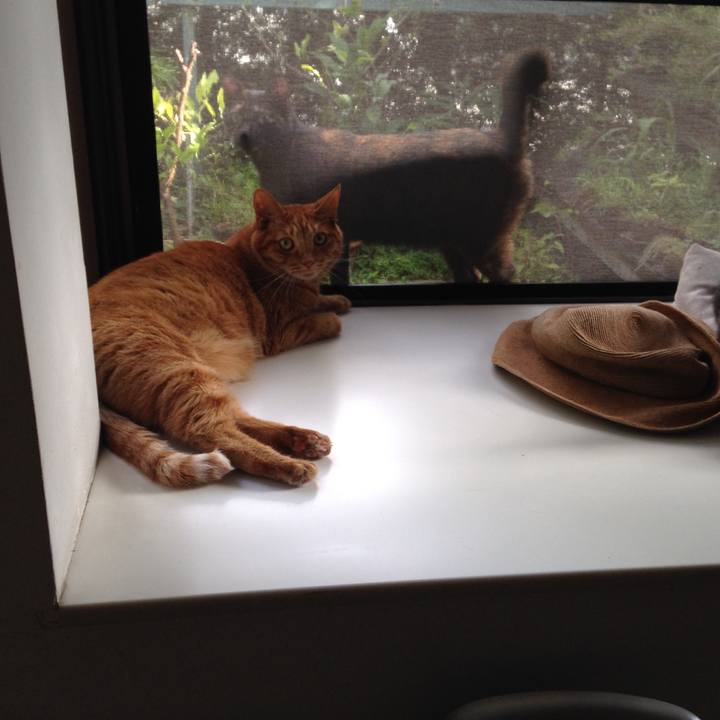 B4ae21bd fabb 4713 93e7 84ac7ea29f03