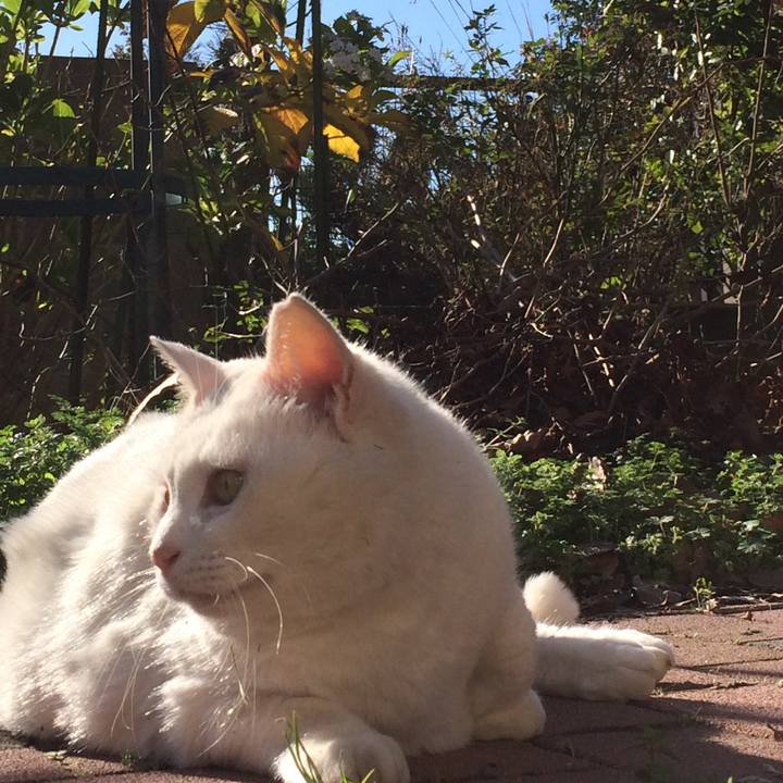 B4ae5768 f78e 47b5 80fe 5c53208a00ef