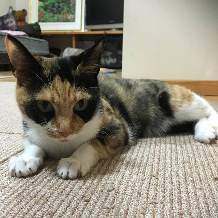 B4af1669 9194 4797 898a 112228228c1d