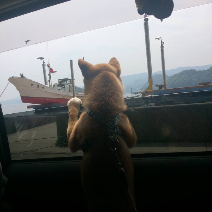 B4b03a58 f1a9 4b61 9786 b1b1d8fa8ebb