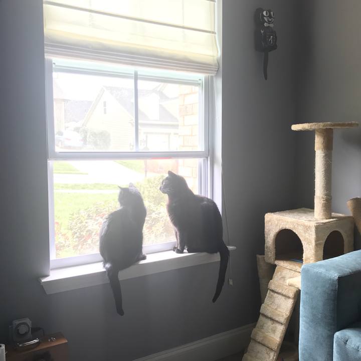 B4b0e992 eae2 4330 93ae 8fb58736ff7c