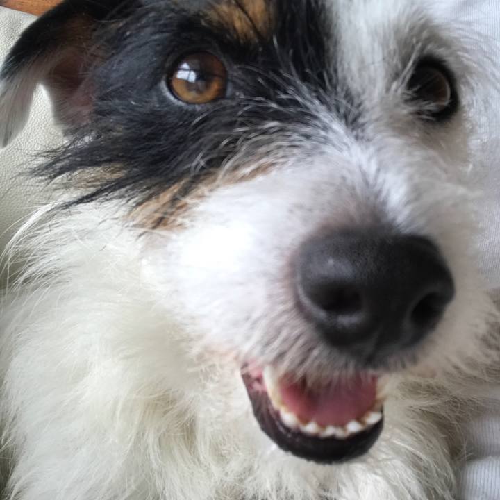 B4b1b069 d174 4f33 a802 6dfb9a90a71b