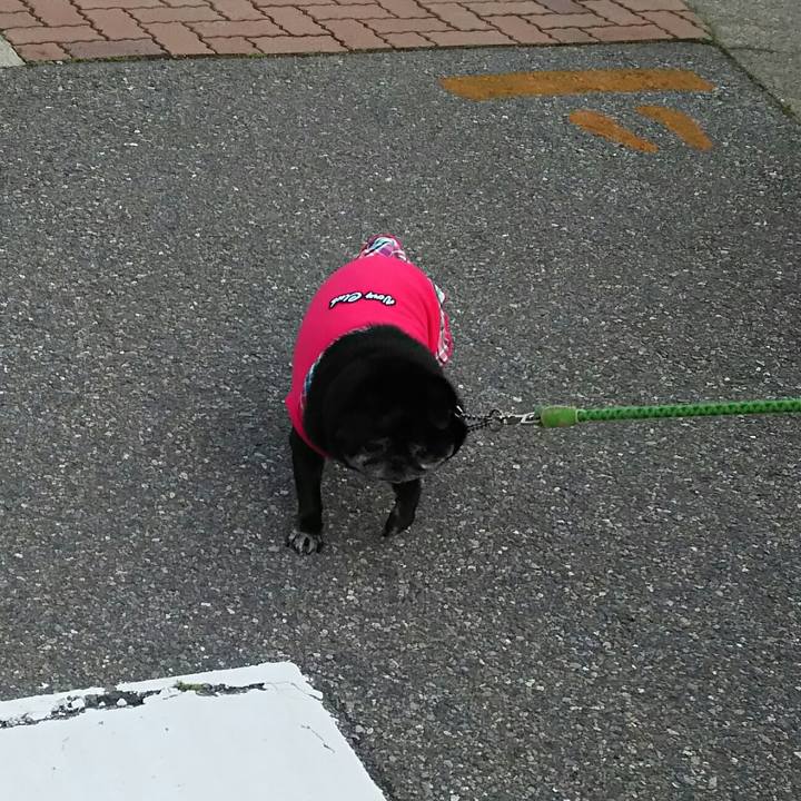 B4b1d9fa c911 4c19 9ddc 8654a952ef32