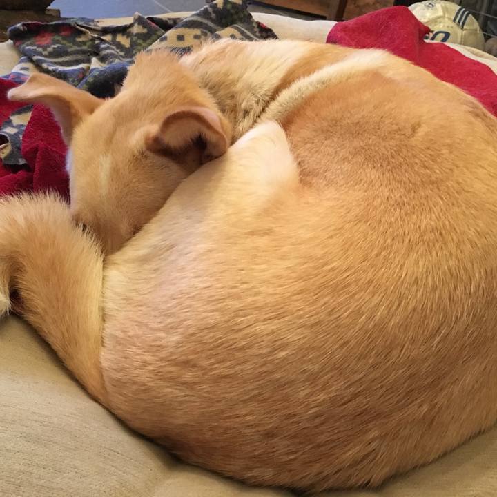 B4b24002 cbaf 442d 9185 d1eebd38efd1