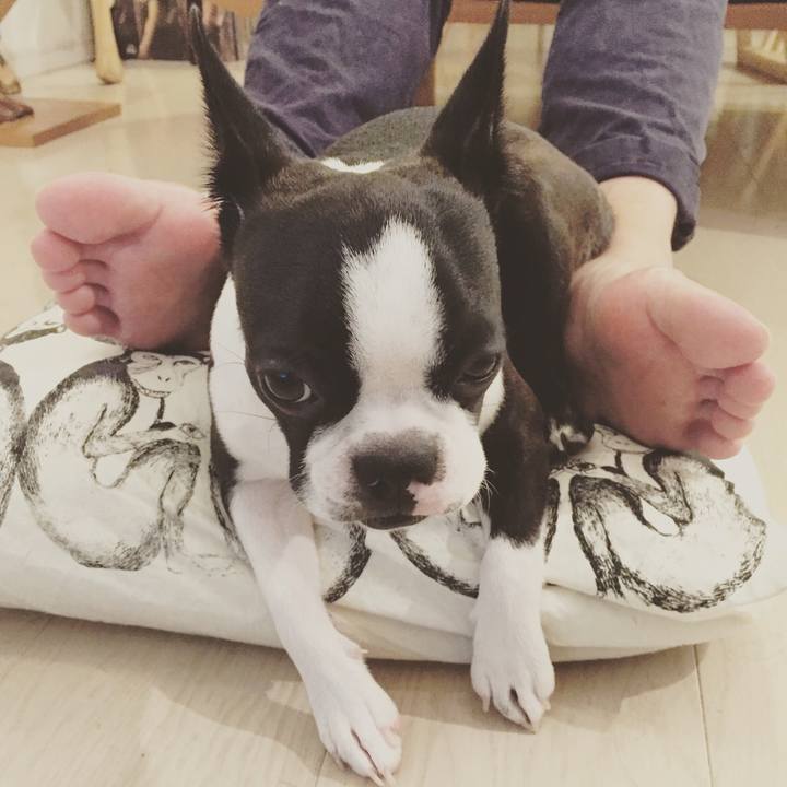 B4b25db3 6d95 4261 b882 38db0fdfb529