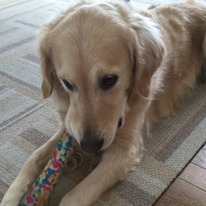 B4b2a794 60cc 400e b833 50633ca13366