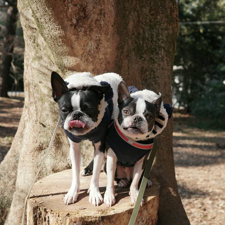 B4b2f01e 282e 46e6 8e30 33ad9e1da7e6