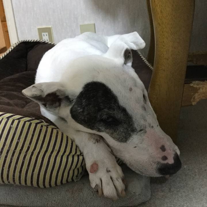 B4b3153d 6c1b 4789 8bb0 b092370dfe0b