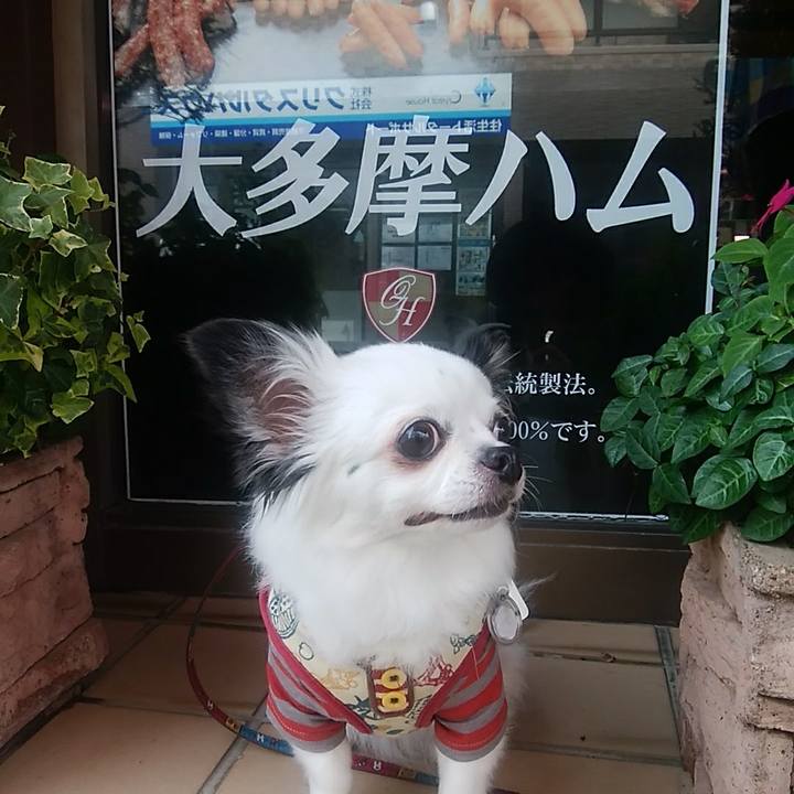 B4b33aa5 0ff0 42d4 8aed e23337be2470