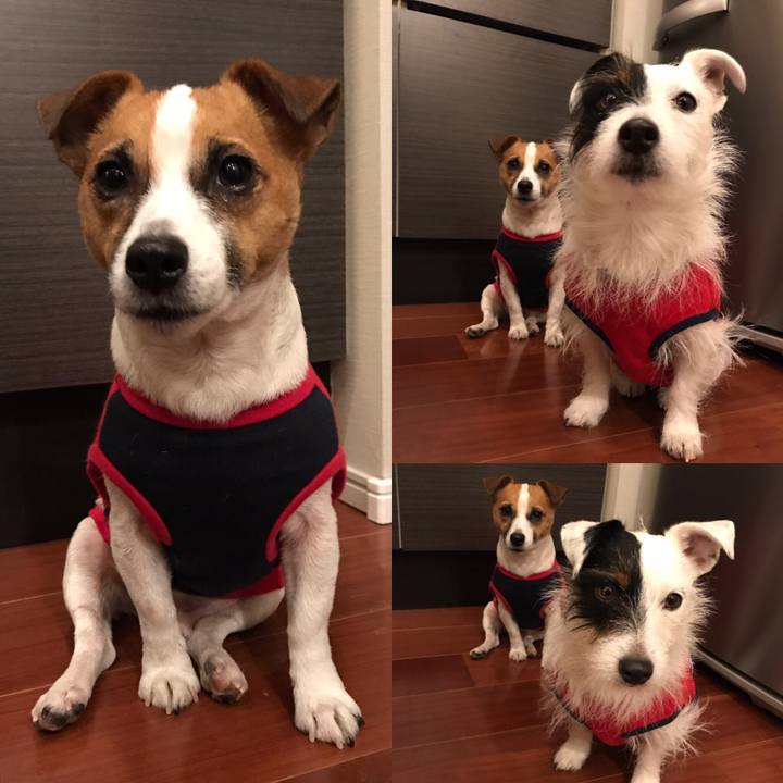 B4b36b03 ae94 4600 811a 433bac988d30